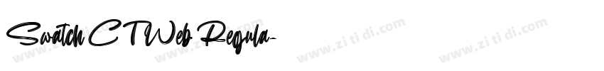 Swatch CT Web Regula字体转换